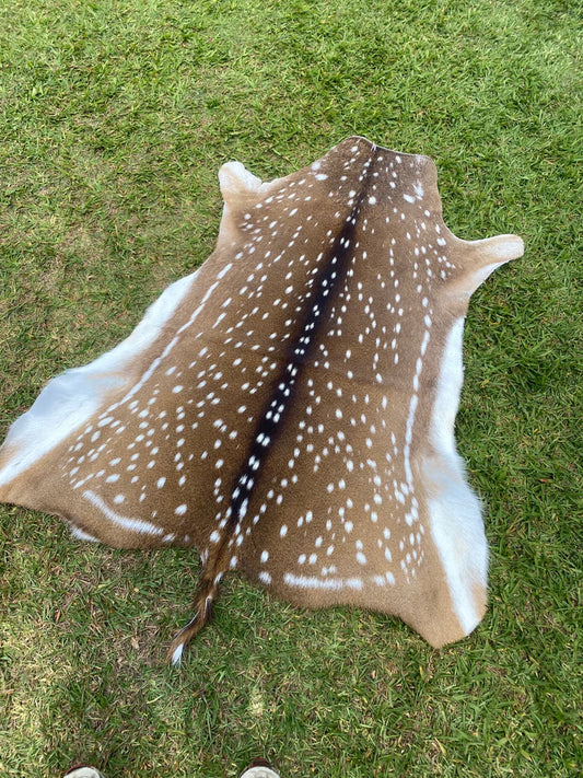 Chital Deer Skin